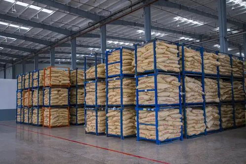 湖北省委書記一行考察卓寶石首生產基地，聚焦建筑材料產業高質量發展